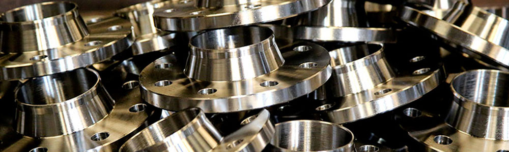 Stainless Steel 316L Flanges