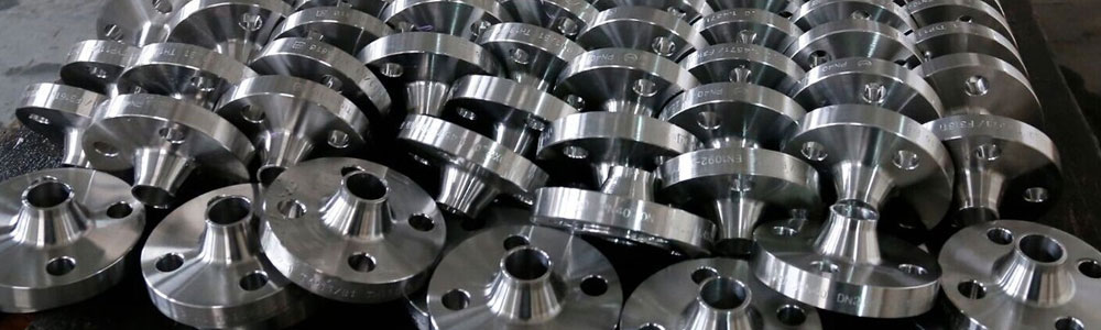 Stainless Steel 446 Flanges