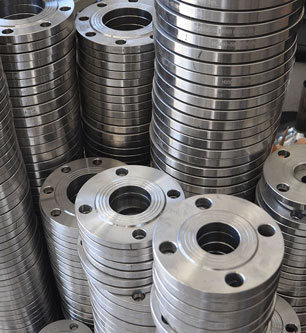 Stainless Steel Flanges